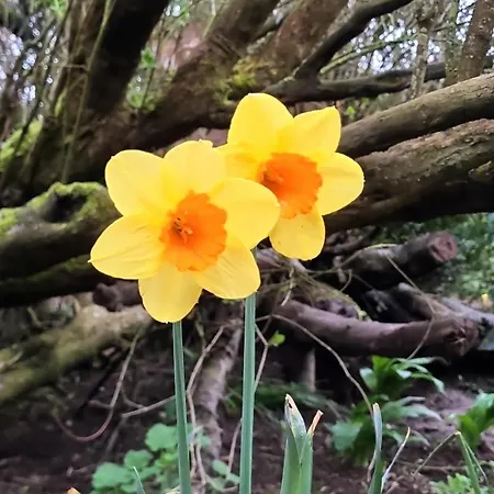 Kleine Lea1 Gemeinschaftsbad Kein Wifi Homestay