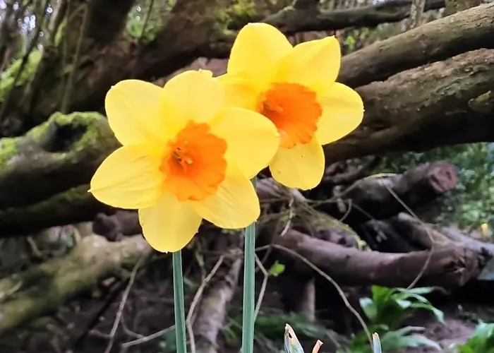 Kleine Lea1 Gemeinschaftsbad Kein Wifi Kwatera prywatna